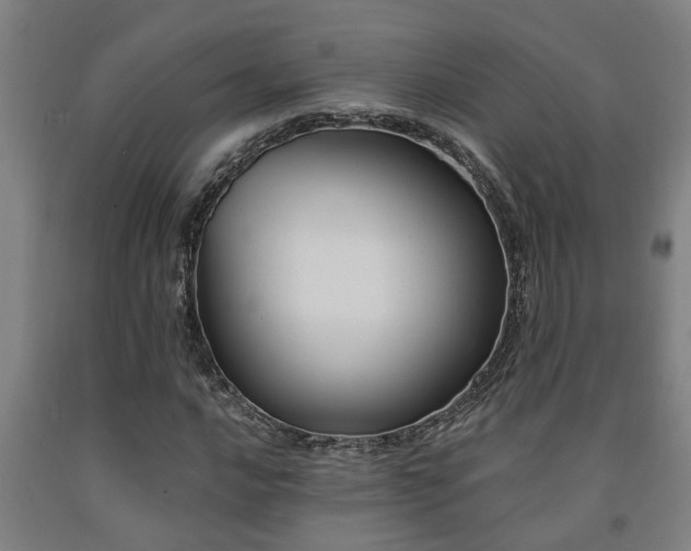 X0000093091016200709261224
