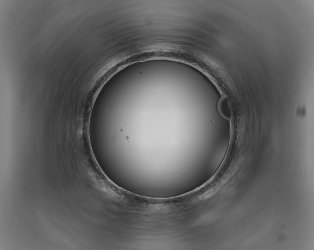 X0000093091017200709261224