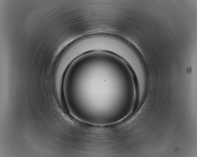 X0000093091018200709261224