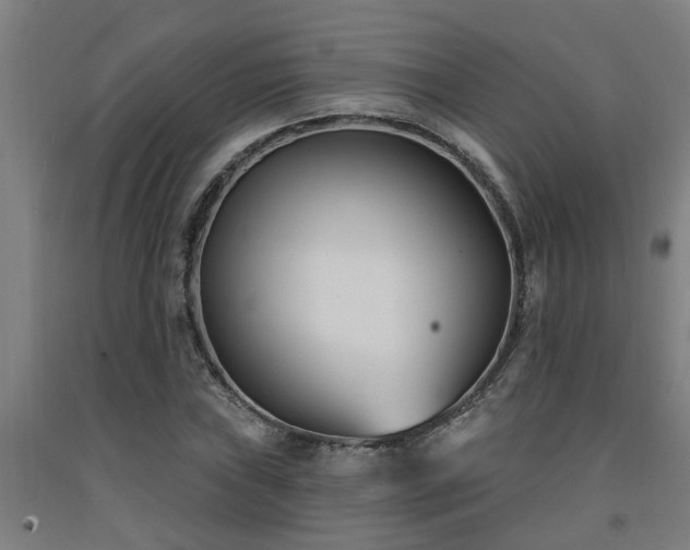 X0000093091019200709261224