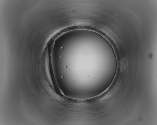 X0000093091021200709261224
