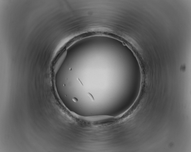 X0000093091022200709261224