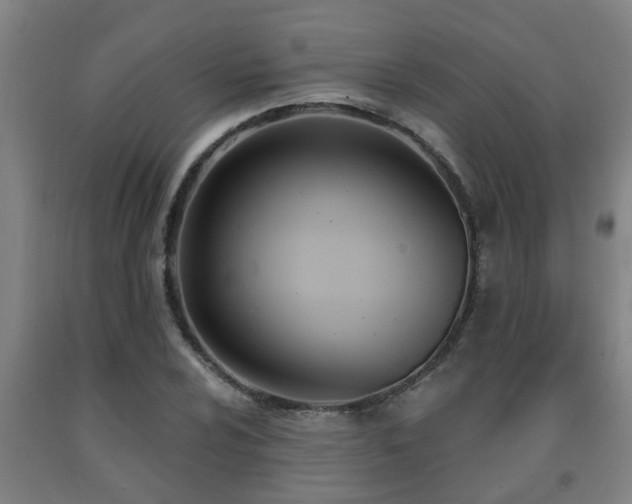 X0000093091024200709261224