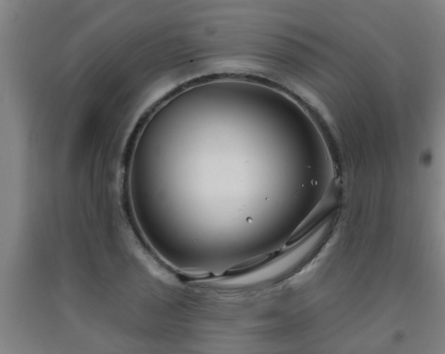 X0000093091029200709261224