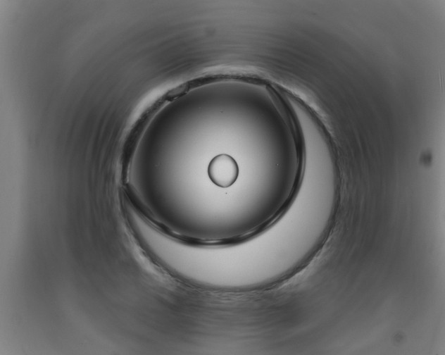 X0000093091030200709261224