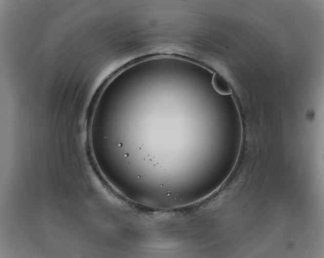 X0000093091032200709261224