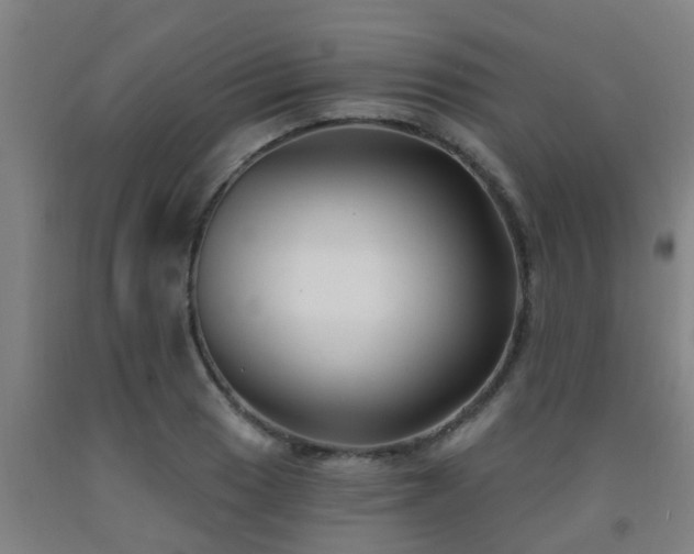 X0000093091033200709261224