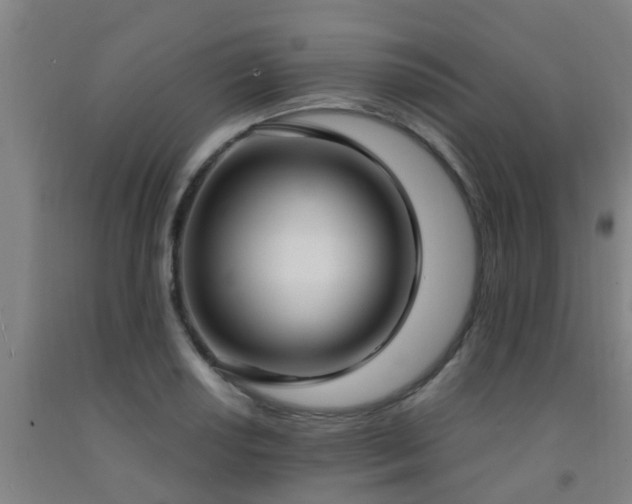 X0000093091034200709261224