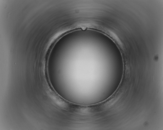 X0000093091035200709261224