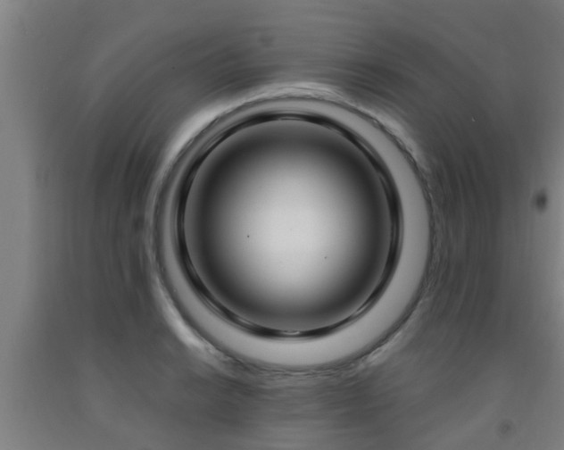 X0000093091038200709261224