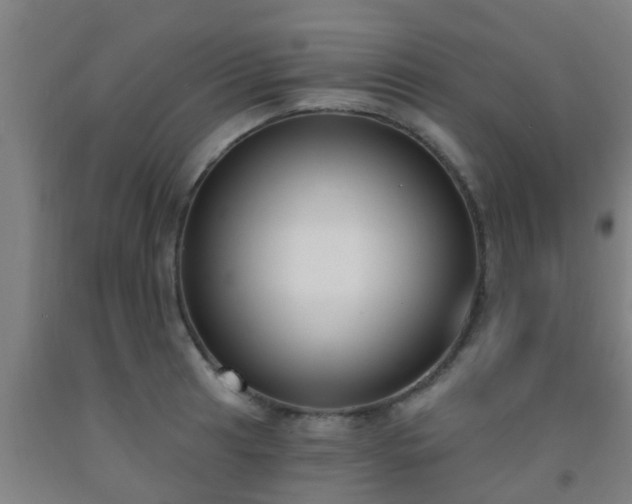 X0000093091041200709261224