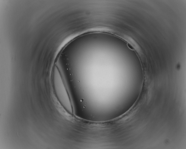 X0000093091044200709261225