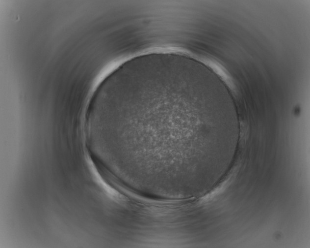 X0000093091046200709261225