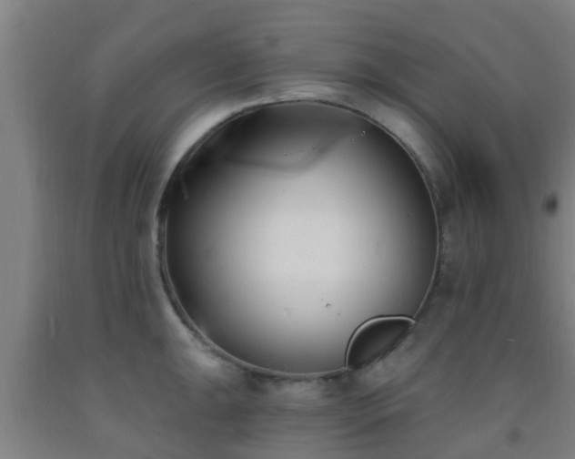 X0000093091047200709261225