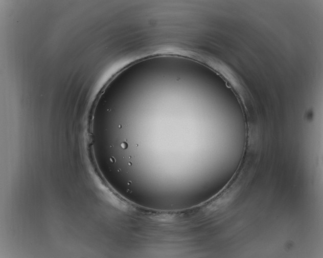 X0000093091048200709261225