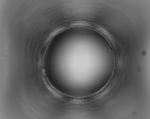 X0000093091049200709261225