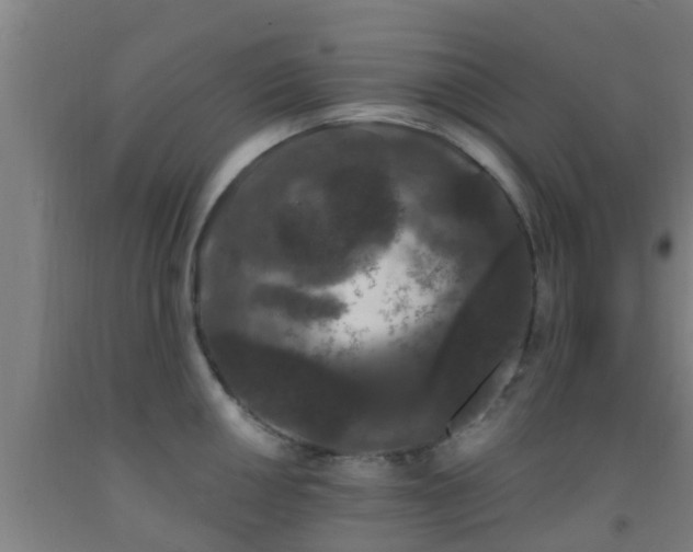 X0000093091050200709261225