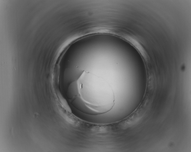 X0000093091051200709261225