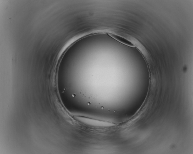 X0000093091052200709261225