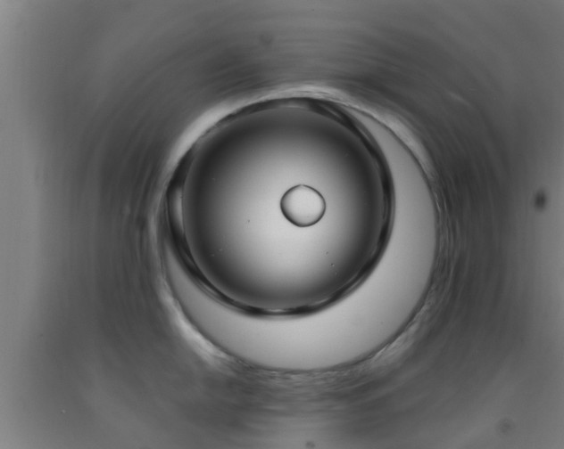 X0000093091054200709261225