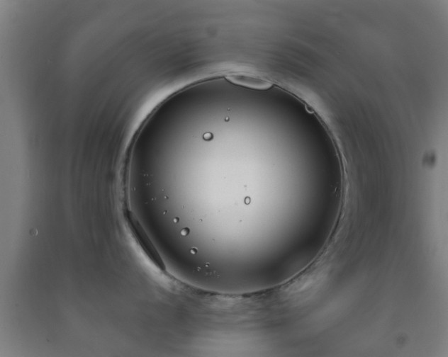 X0000093091056200709261225