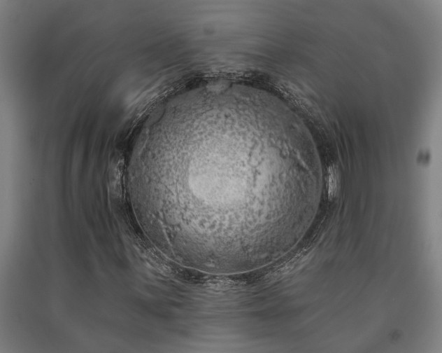 X0000093091059200709261224