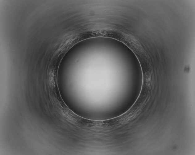 X0000093091060200709261224