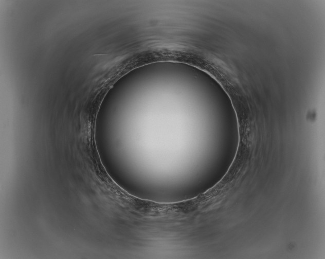 X0000093091061200709261224