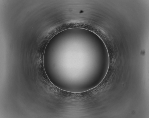 X0000093091062200709261224