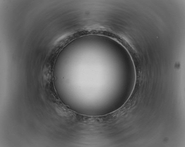 X0000093091063200709261224