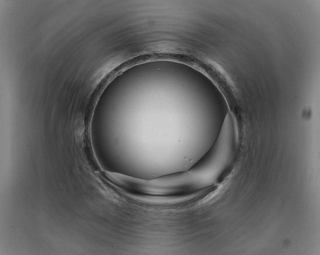 X0000093091065200709261224