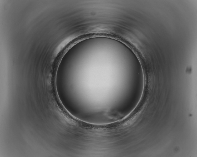 X0000093091066200709261224