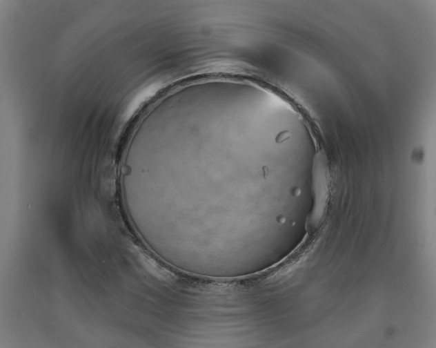 X0000093091067200709261224