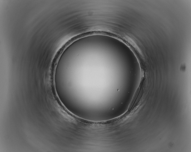 X0000093091068200709261224