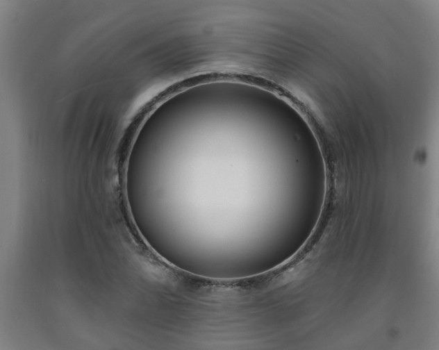 X0000093091070200709261224