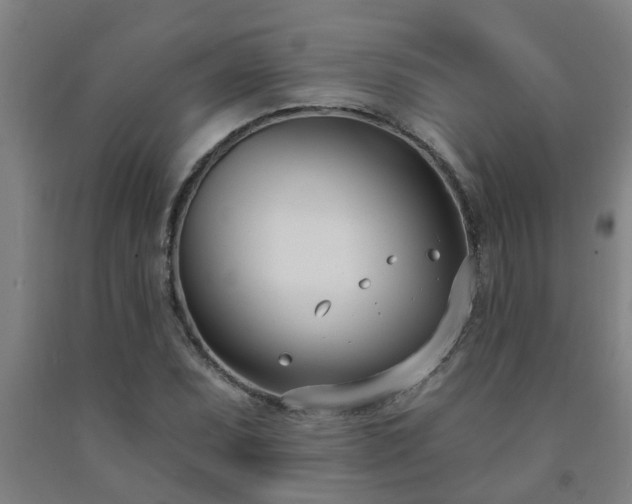 X0000093091071200709261224
