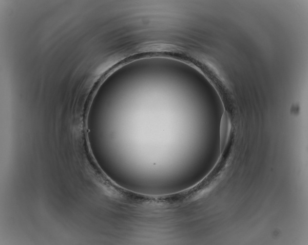 X0000093091073200709261224