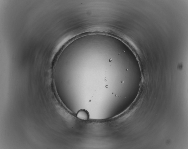 X0000093091075200709261224