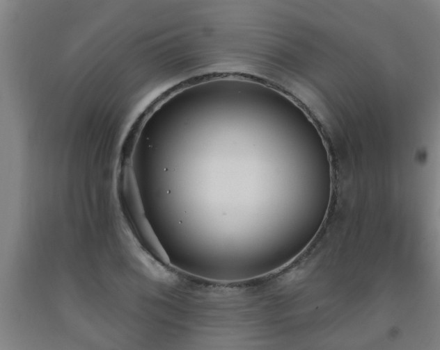 X0000093091076200709261224