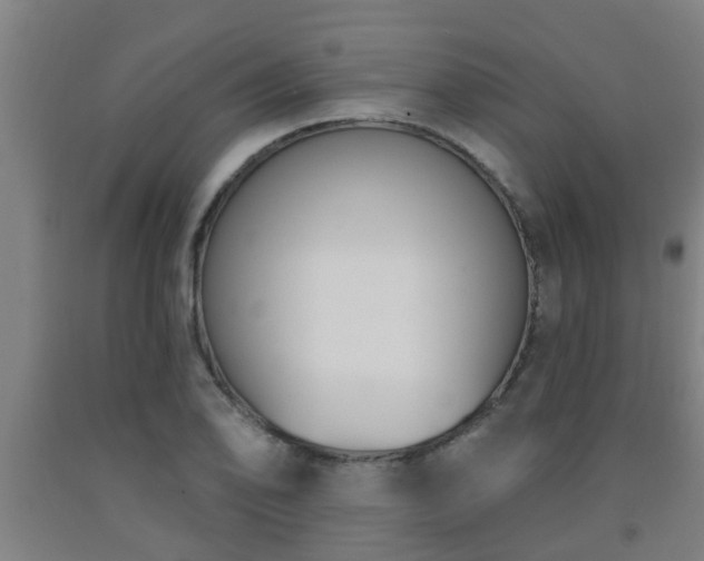 X0000093091078200709261224