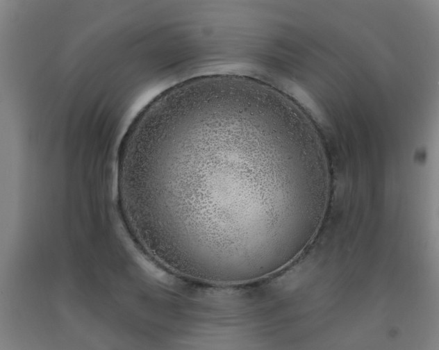 X0000093091079200709261224