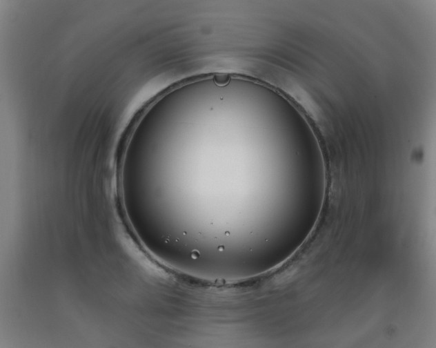 X0000093091080200709261224