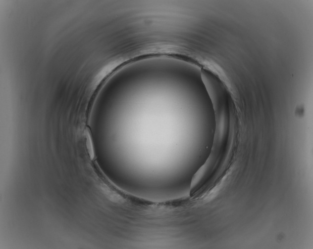 X0000093091081200709261224