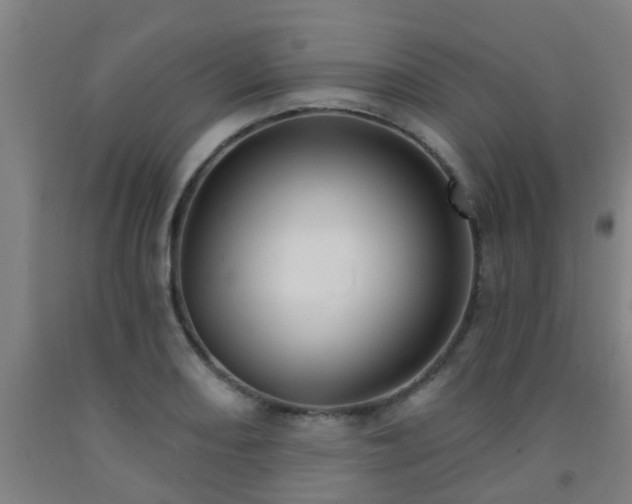 X0000093091082200709261224