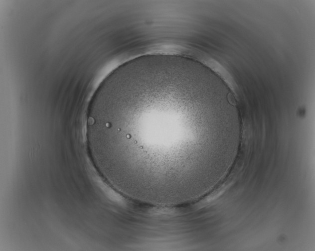 X0000093091083200709261224
