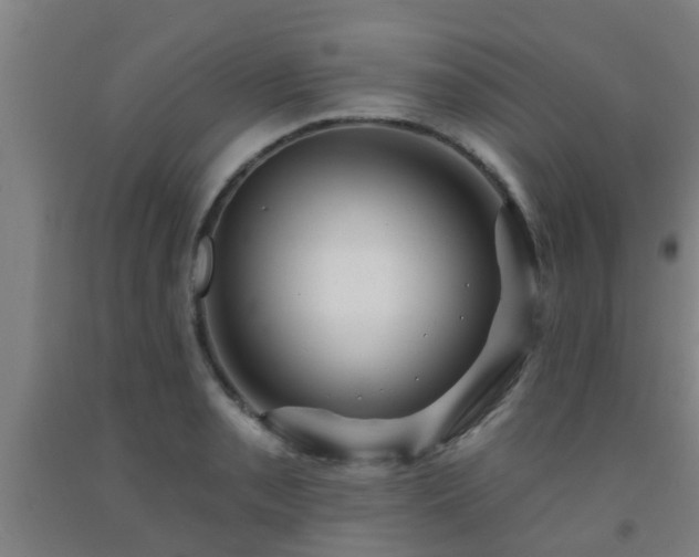 X0000093091085200709261224