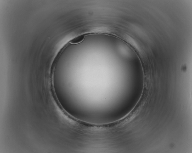 X0000093091087200709261224