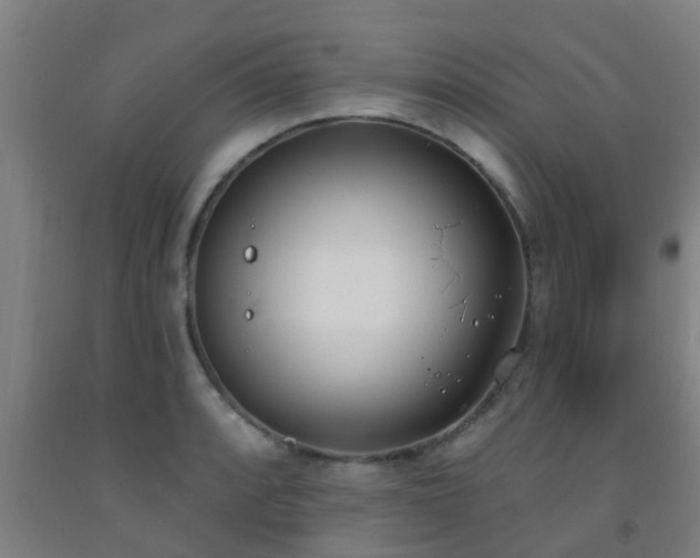X0000093091088200709261224