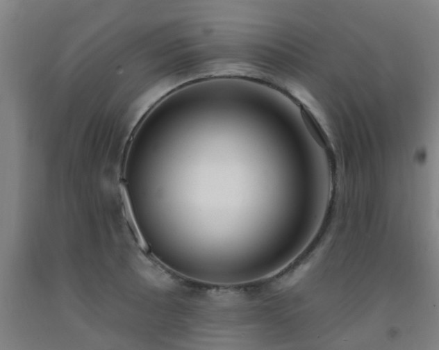 X0000093091089200709261223