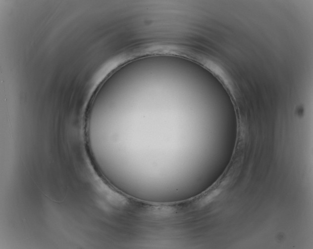 X0000093091090200709261223